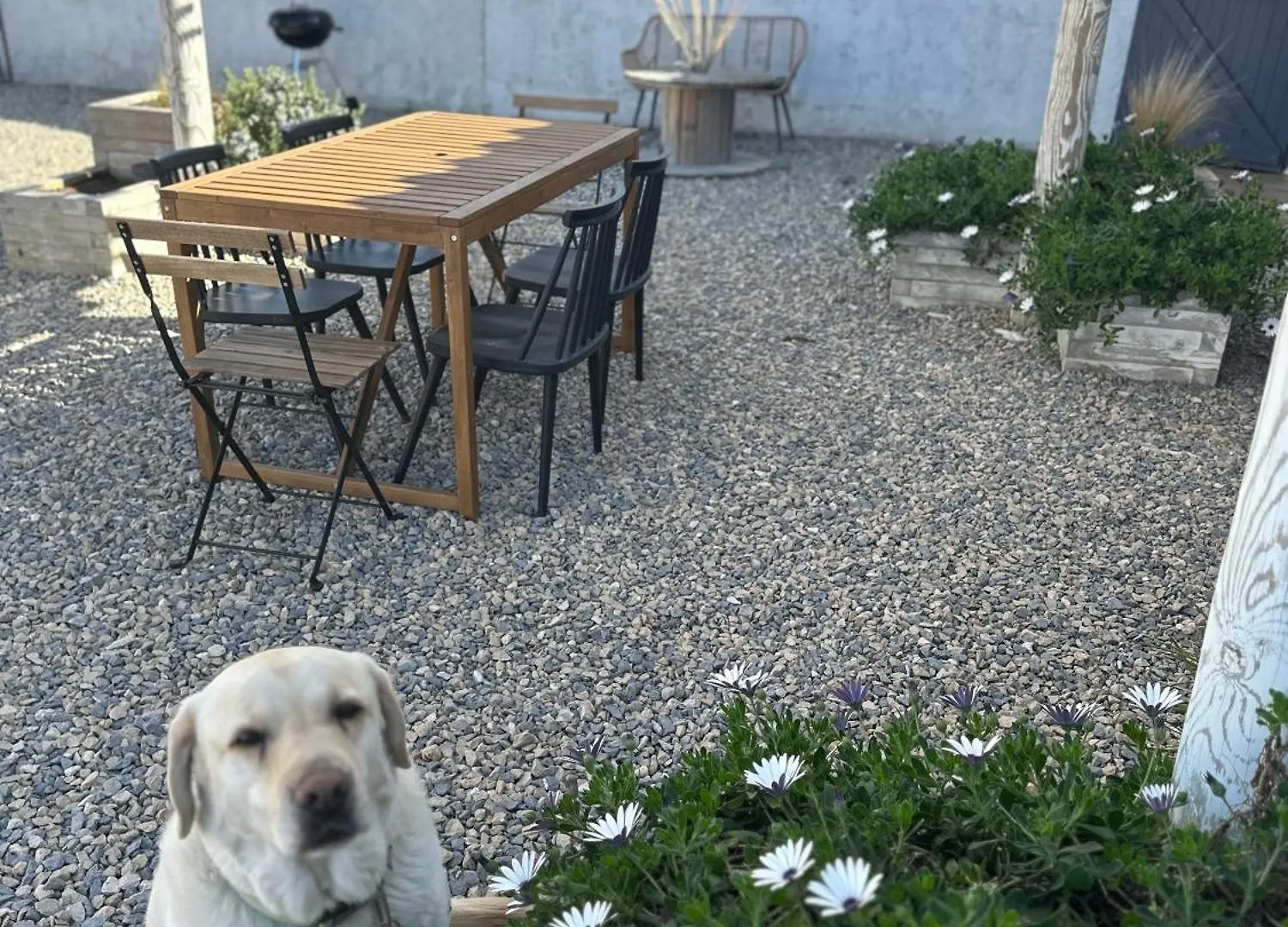 Holiday home Mas Des Oliviers, Maison Avec Piscine Privative Et Chauffee Locamargue Saintes-Maries-de-la-Mer France